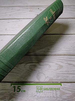 Повести и рассказы 1844-1853 годов