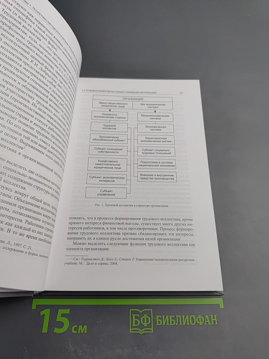 Участие работников в управлении организацией как фактор профилактики социально-трудовых конфликтов. Выпуск 13