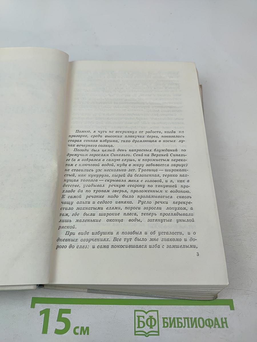 Братья и сестры. Две зимы и три лета