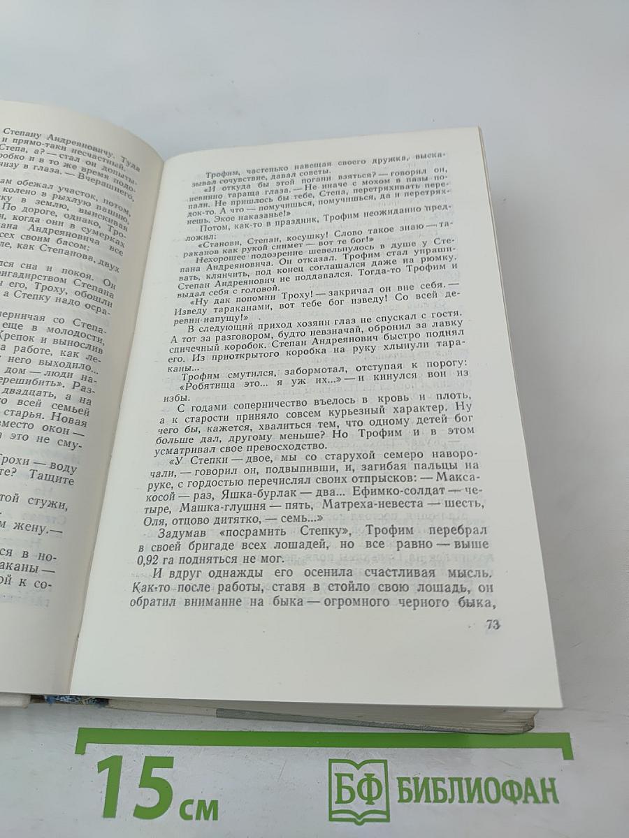 Братья и сестры. Две зимы и три лета