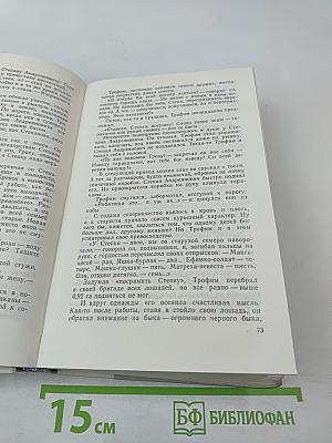 Братья и сестры. Две зимы и три лета