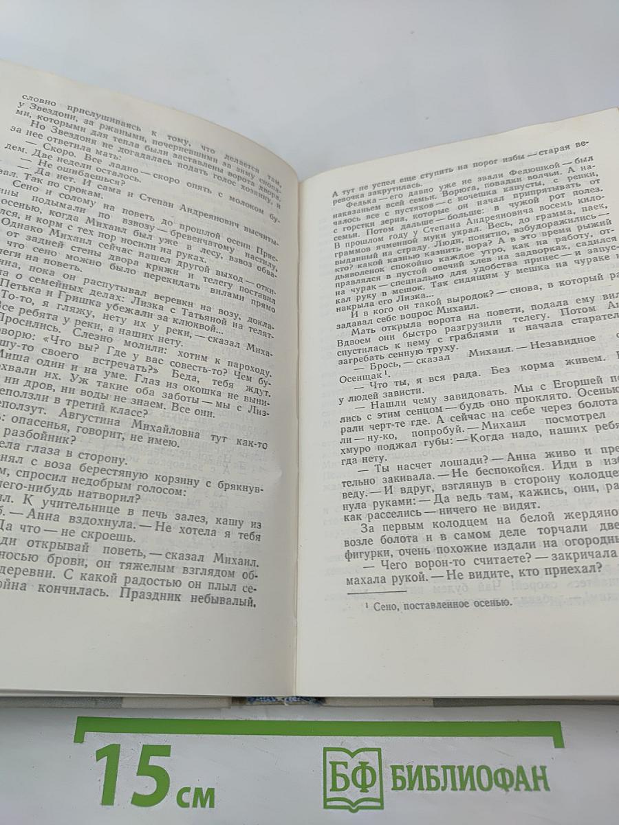 Братья и сестры. Две зимы и три лета