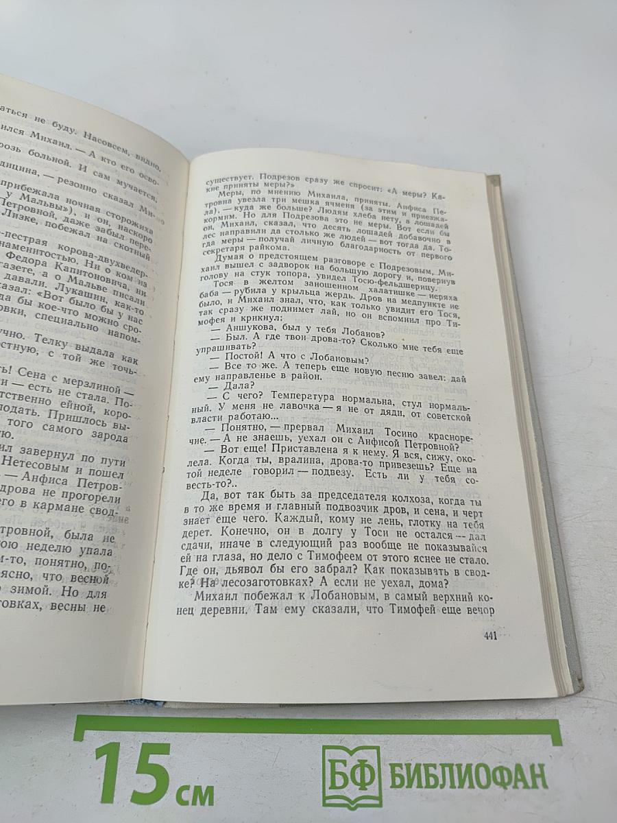 Братья и сестры. Две зимы и три лета