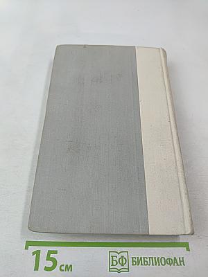 Братья и сестры. Две зимы и три лета