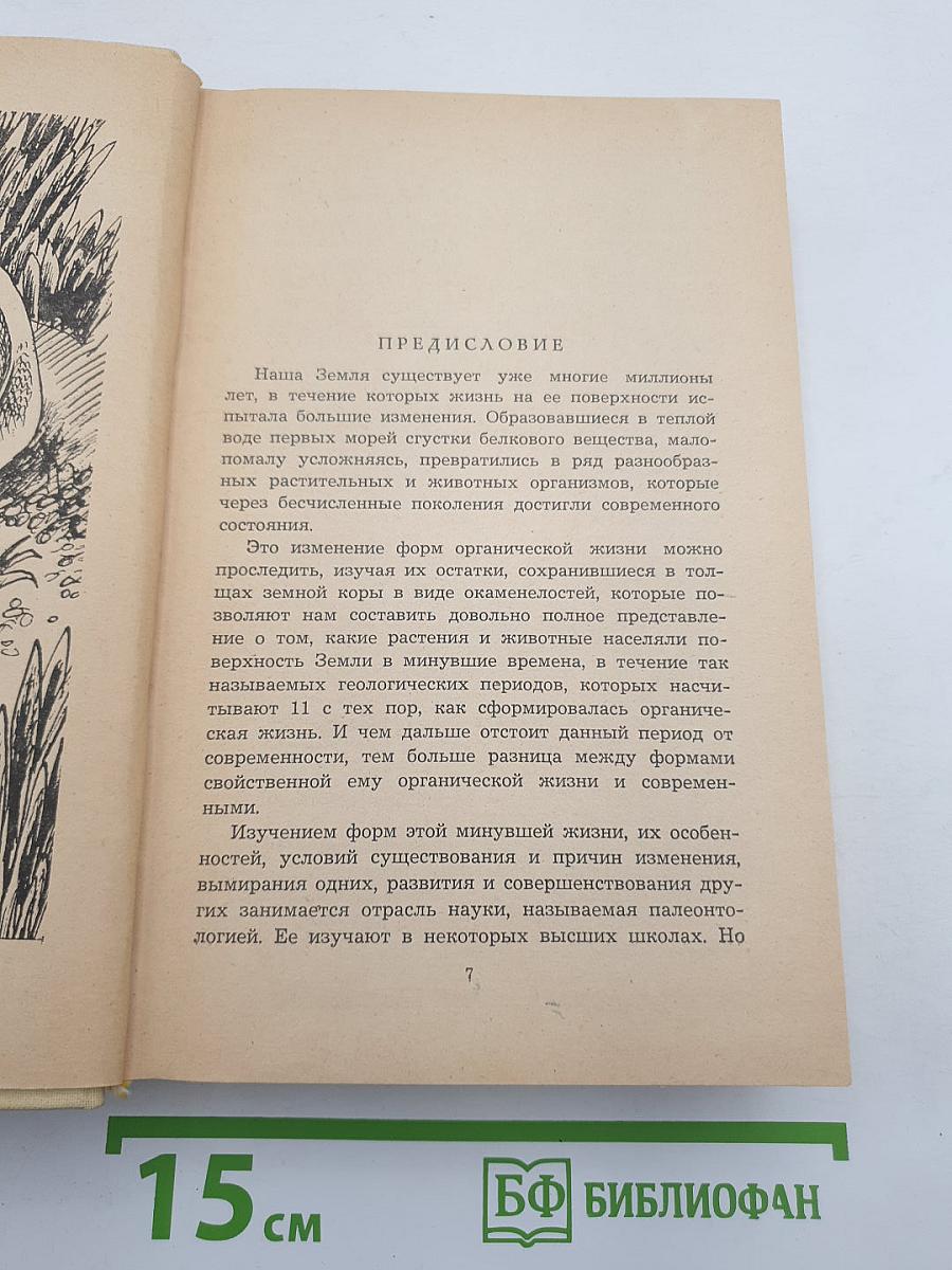 Плутония. Земля Санникова