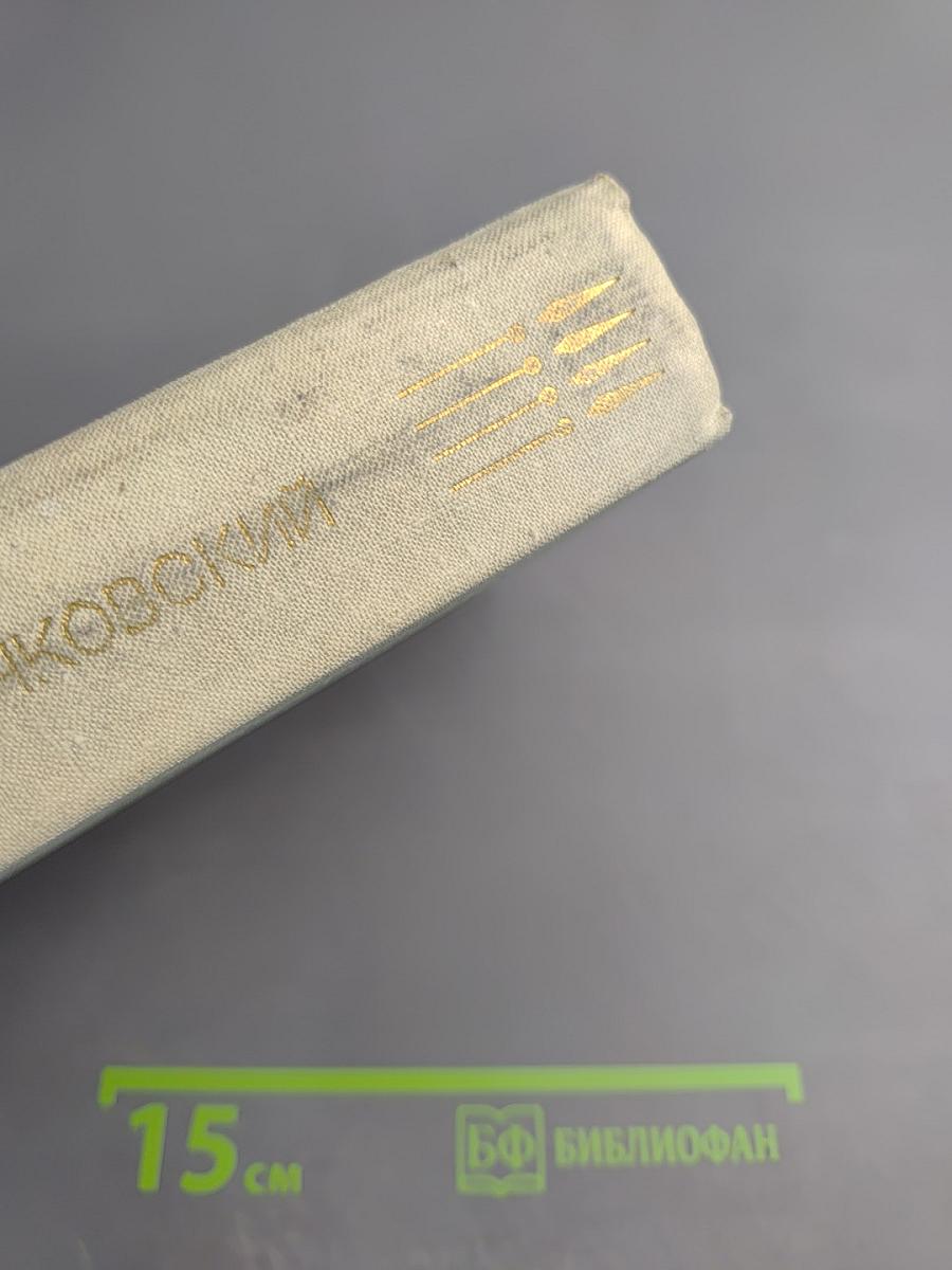 Мы еще встретимся