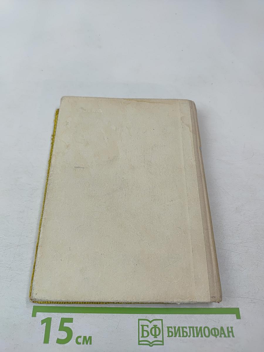 Карл Брюллов в Петербурге