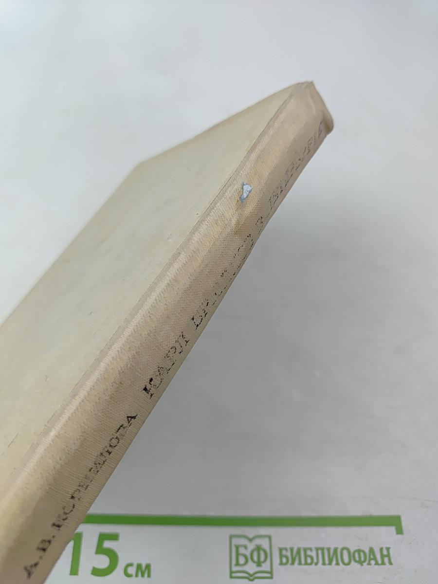 Карл Брюллов в Петербурге