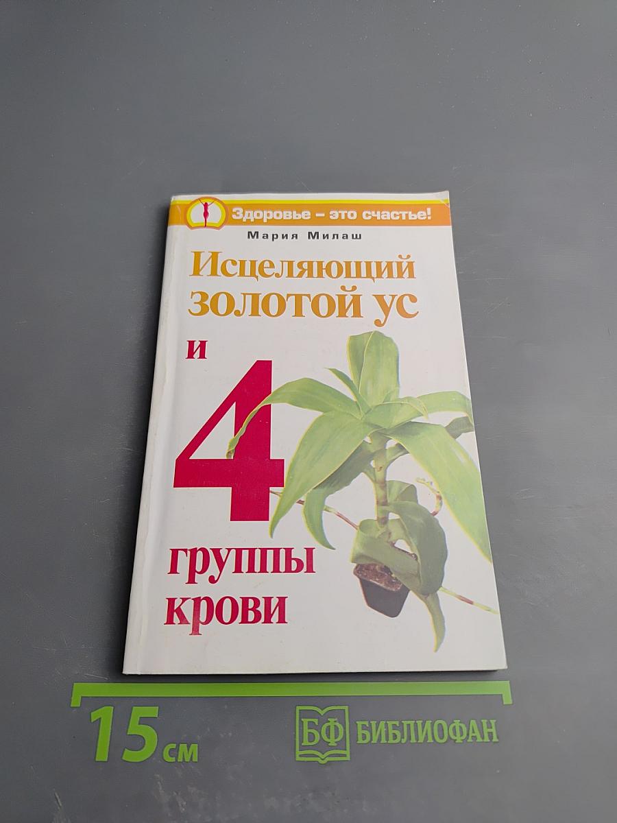 Исцеляющий золотой ус и 4 группы крови