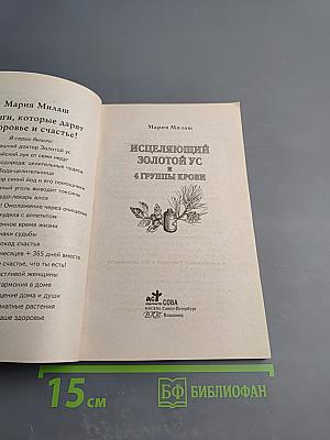 Исцеляющий золотой ус и 4 группы крови