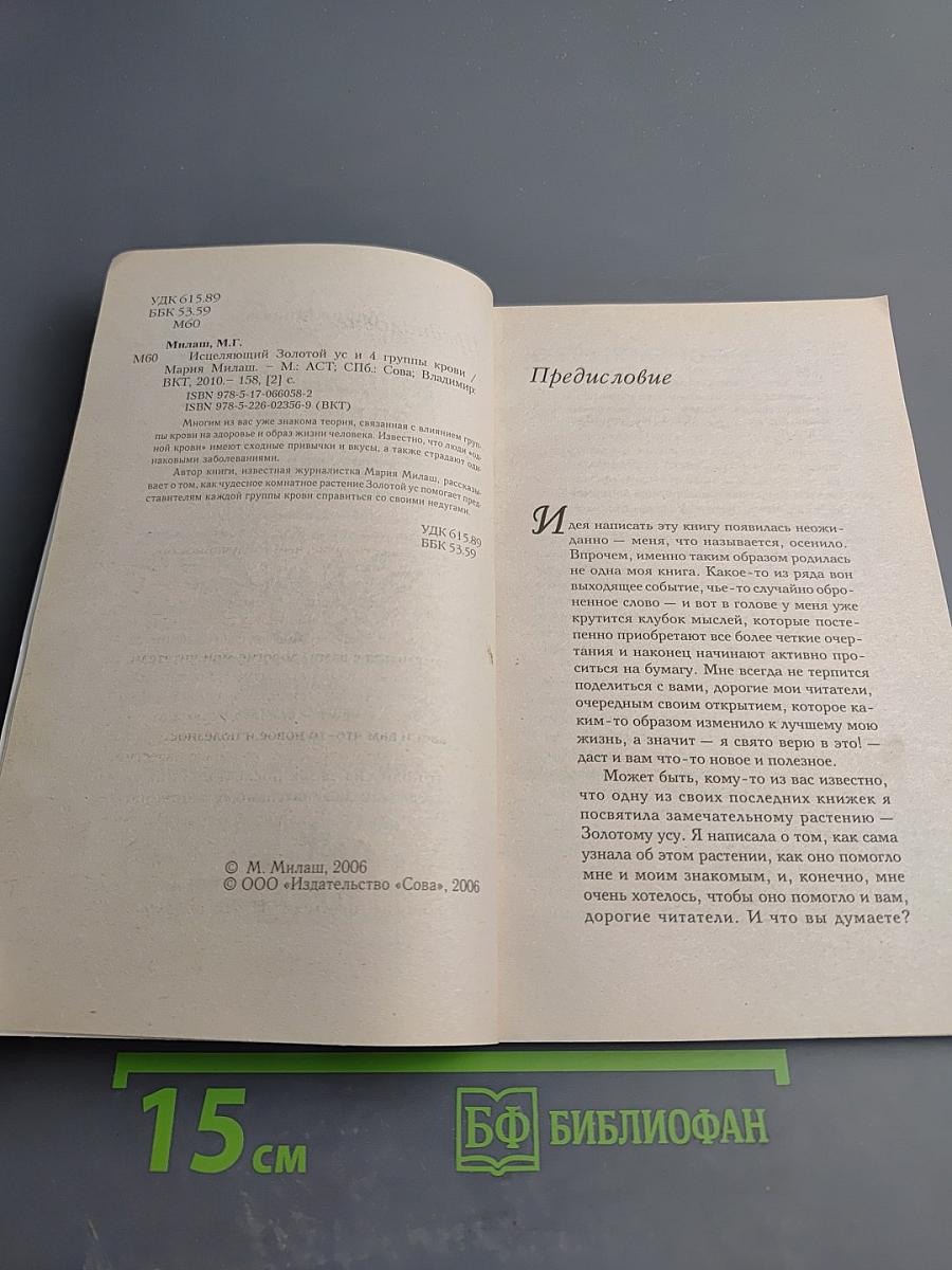 Исцеляющий золотой ус и 4 группы крови