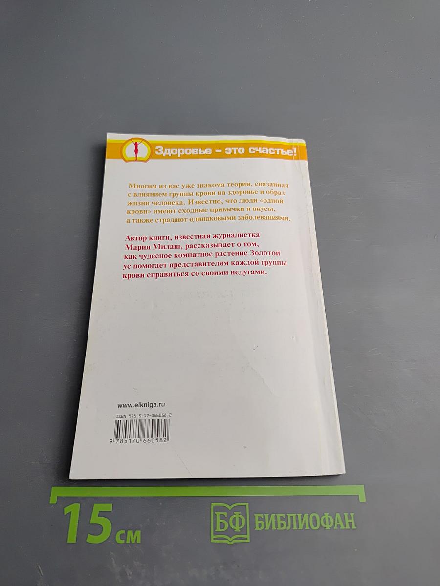 Исцеляющий золотой ус и 4 группы крови