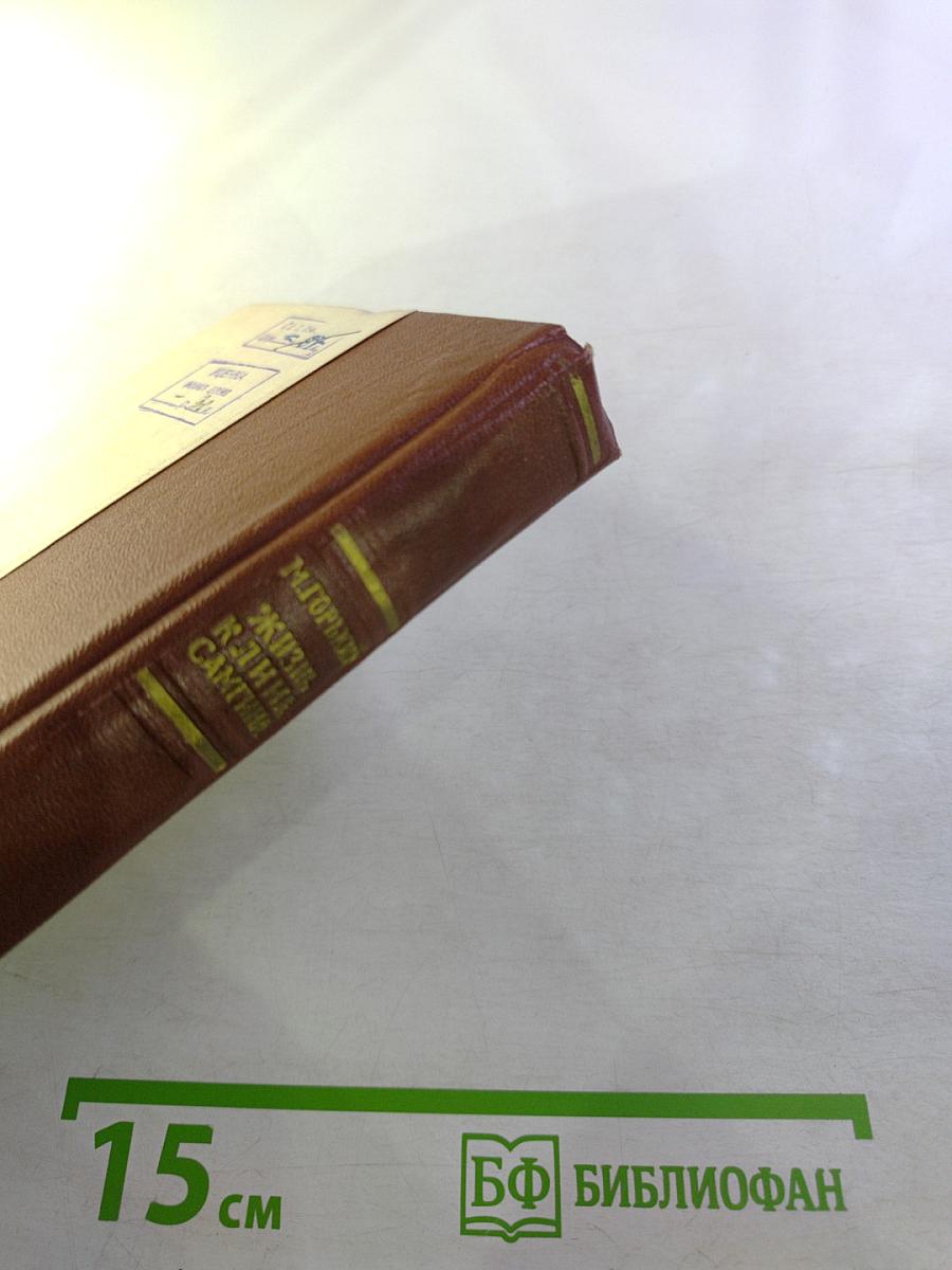 Жизнь Клима Самгина. (Сорок лет). Часть третья