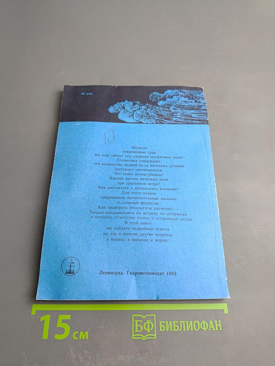 На встречу со штормами