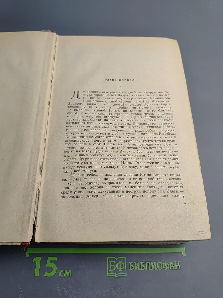 К Новому Берегу