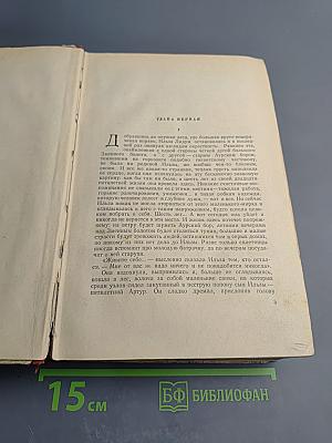 К Новому Берегу