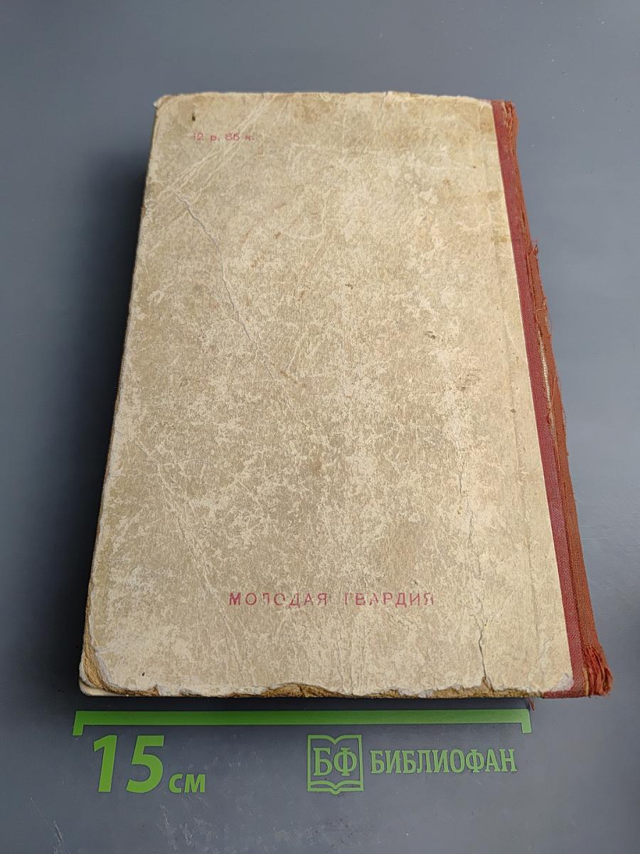 К Новому Берегу