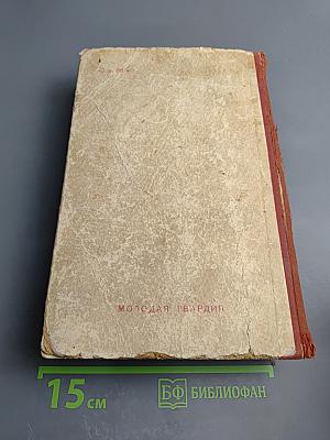 К Новому Берегу