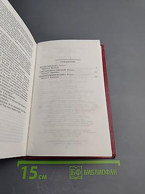 Чародей с гитарой