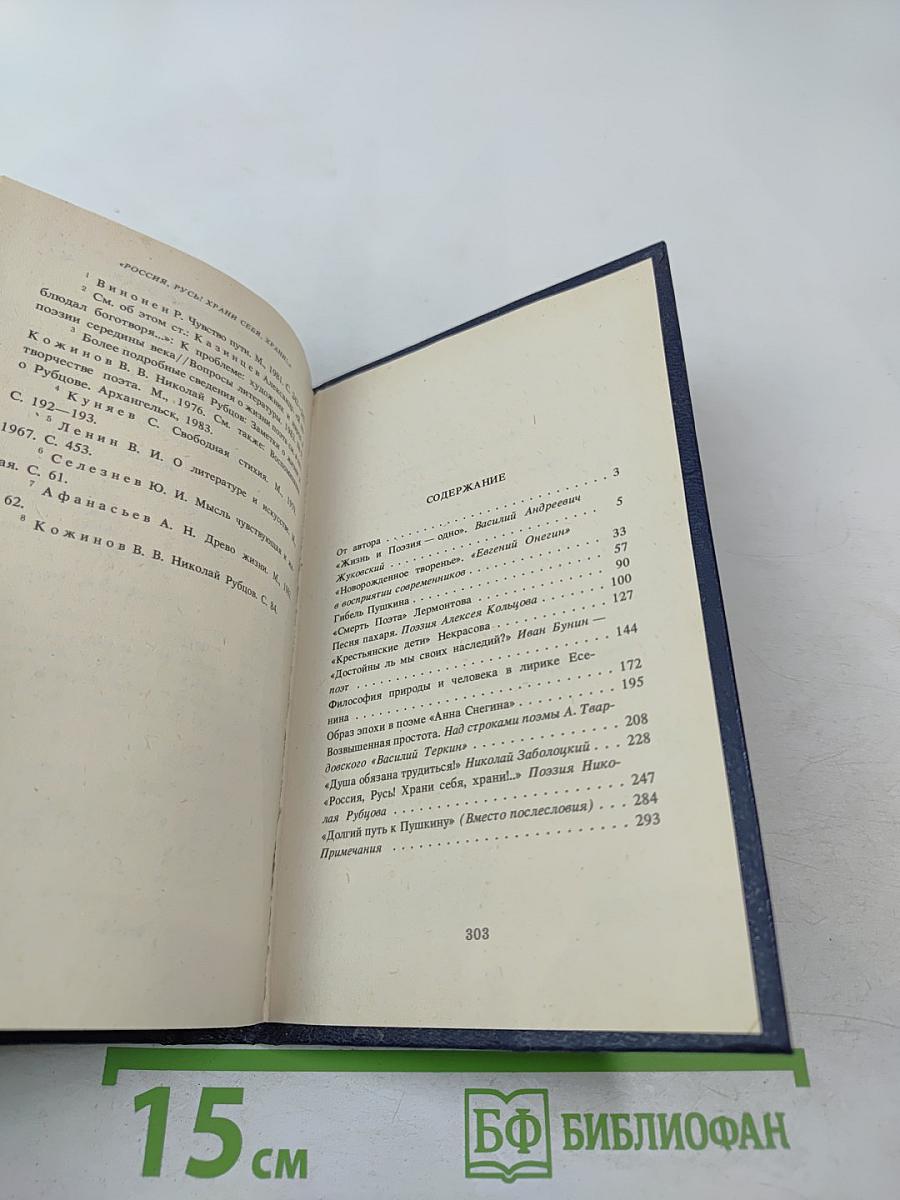 Жизнь и Поэзия — одно. Очерки о русских поэтах XIX—XX вв.