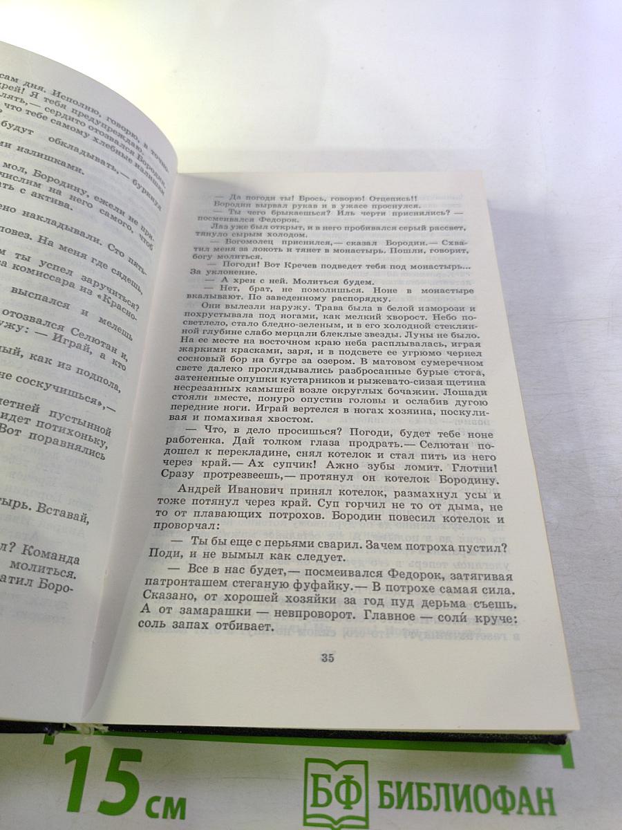 Мужики и бабы. Книга вторая