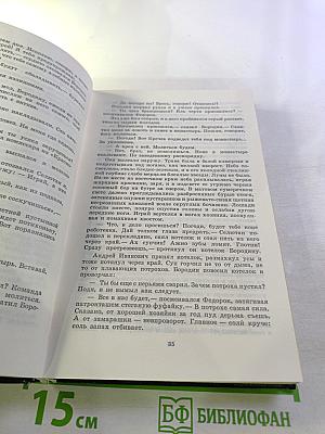 Мужики и бабы. Книга вторая