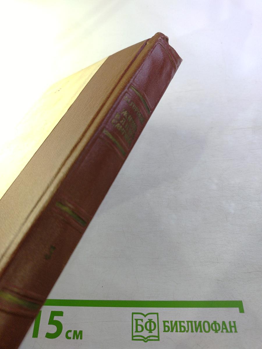 Жизнь Клима Самгина (Сорок лет). Повесть. Часть третья.