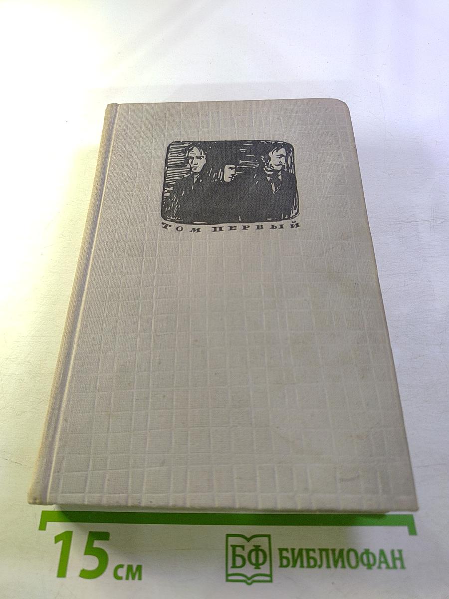 Братья Карамазовы. Том первый. Части I-II