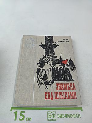 Знамена над штыками