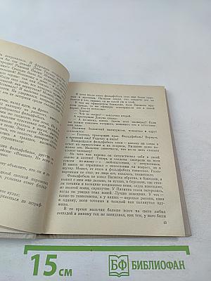 Знамена над штыками