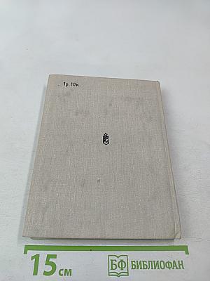 Знамена над штыками