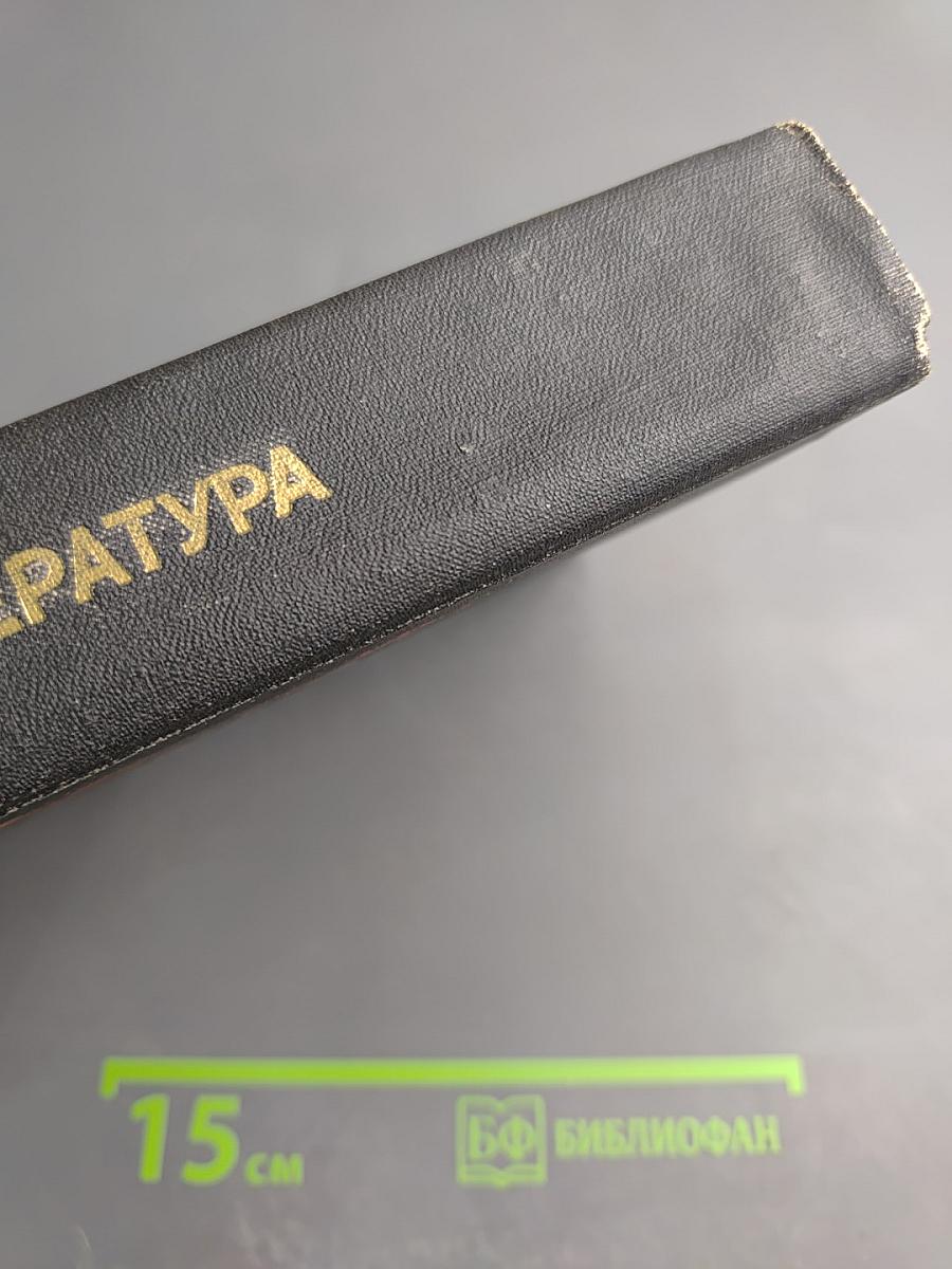 Зарубежная литература XIX века. Романтизм. Хрестоматия