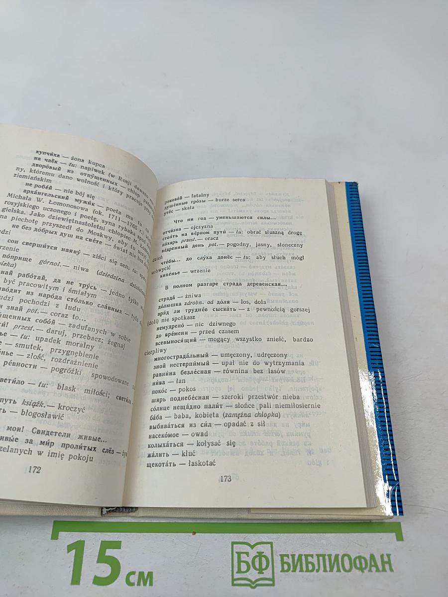 Десять русских поэтов