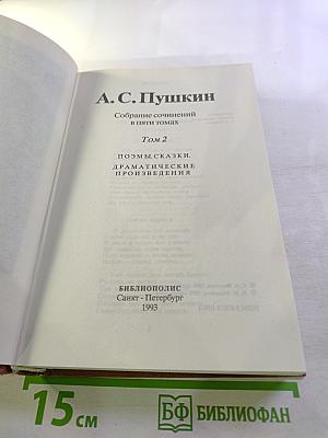 Собрание сочинений в пяти томах. Том 2. Поэмы. Сказки. Драматические произведения