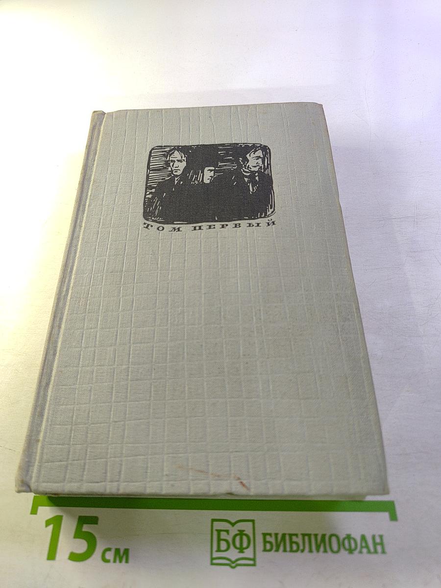 Братья Карамазовы. Том первый