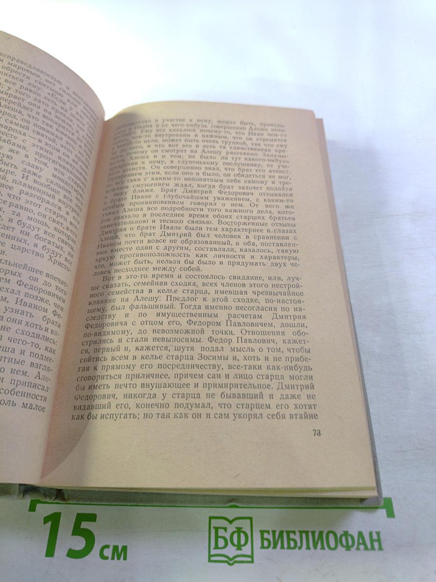 Братья Карамазовы. Том первый