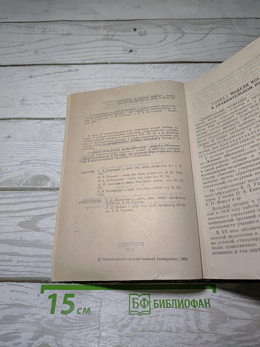 Альтернативные модели воспитания в сравнительной педагогике