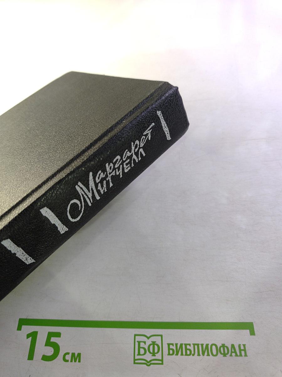 Унесенные ветром. Том 2