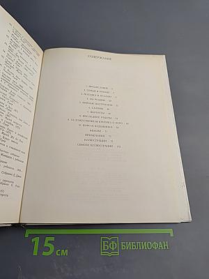 Камиль Коро