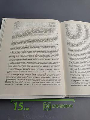 Брак у народов Западной и Южной Европы