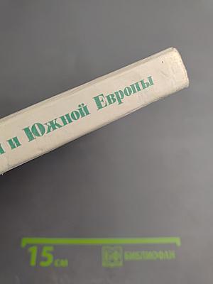 Брак у народов Западной и Южной Европы