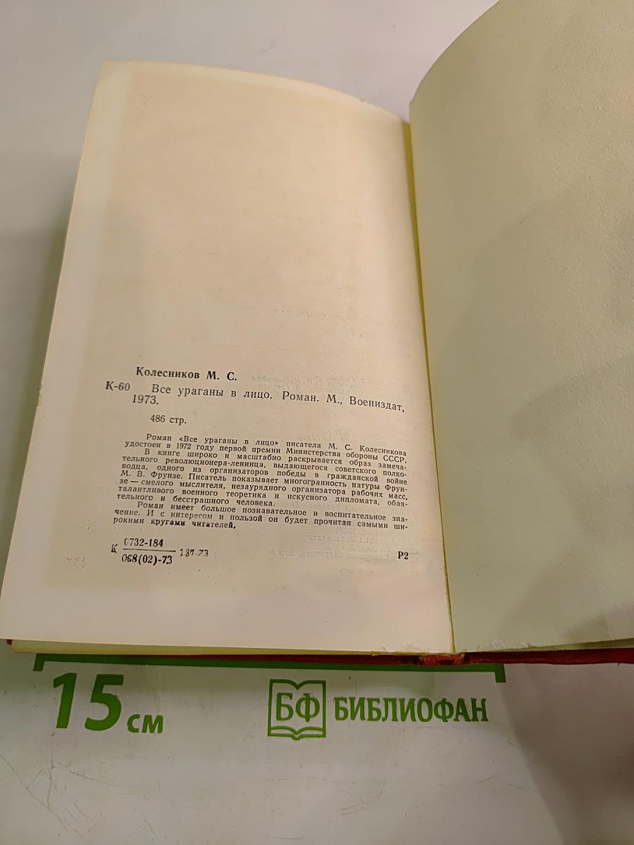 Все ураганы в лицо