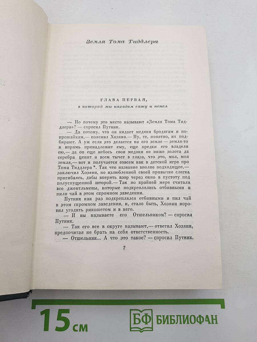Собрание сочинений. Том двадцать седьмой. Повести 60-х годов. Тайна Эдвина Друда