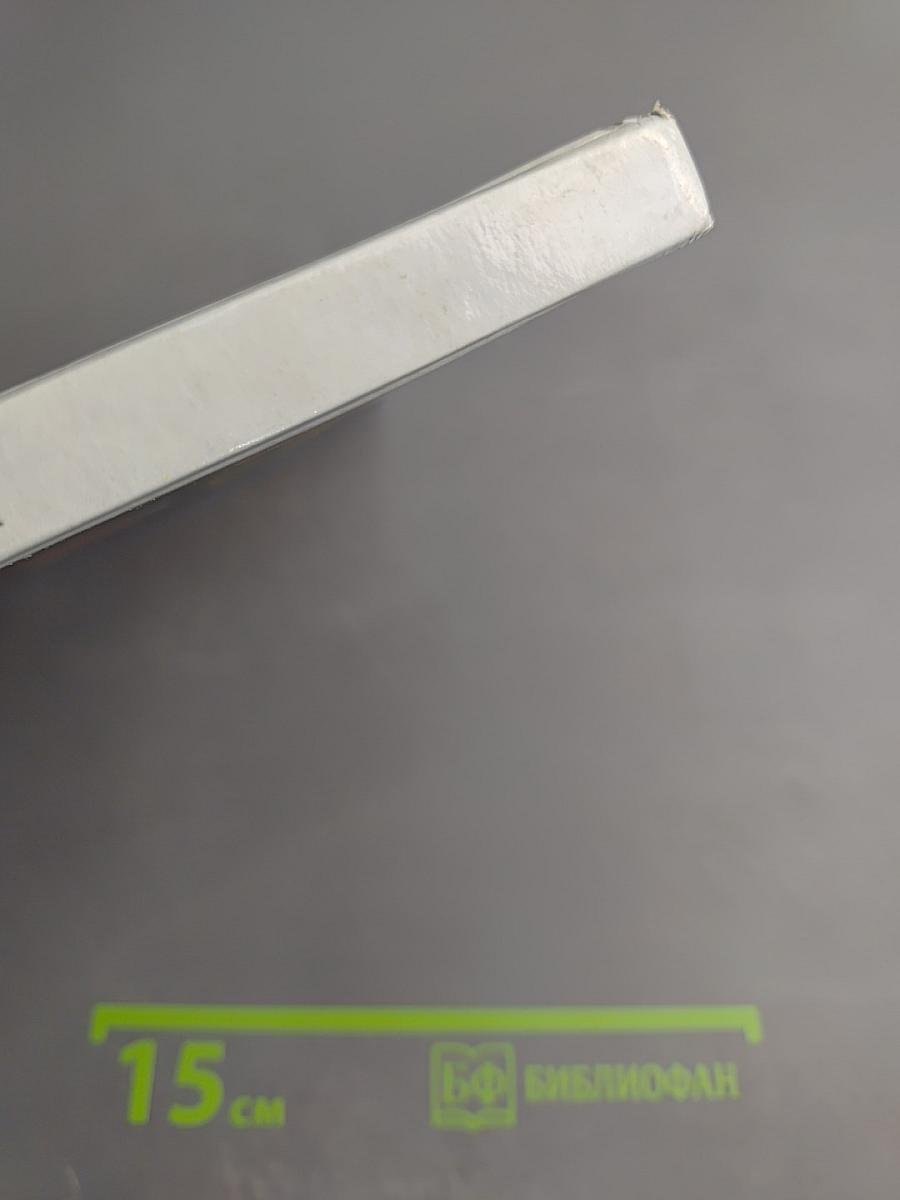 Русский язык. 2 класс