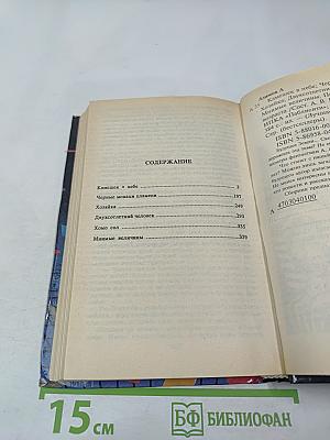 Камешек в небе