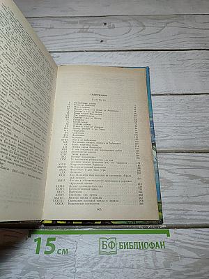 Виконт де Бражелон, или Десять лет спустя