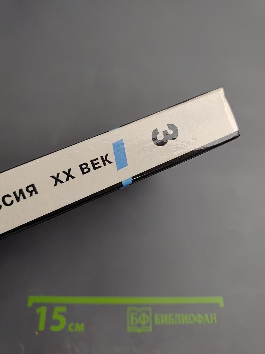 Неизвестная РОССИЯ XX век. Книга третья