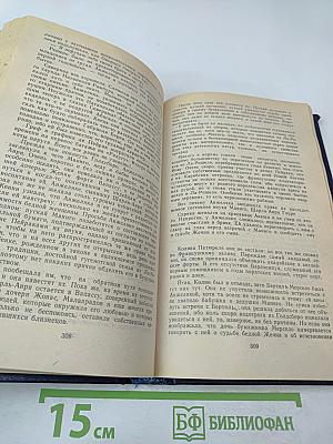 Анжелика. Дорога надежды. Анжелика и ее победа