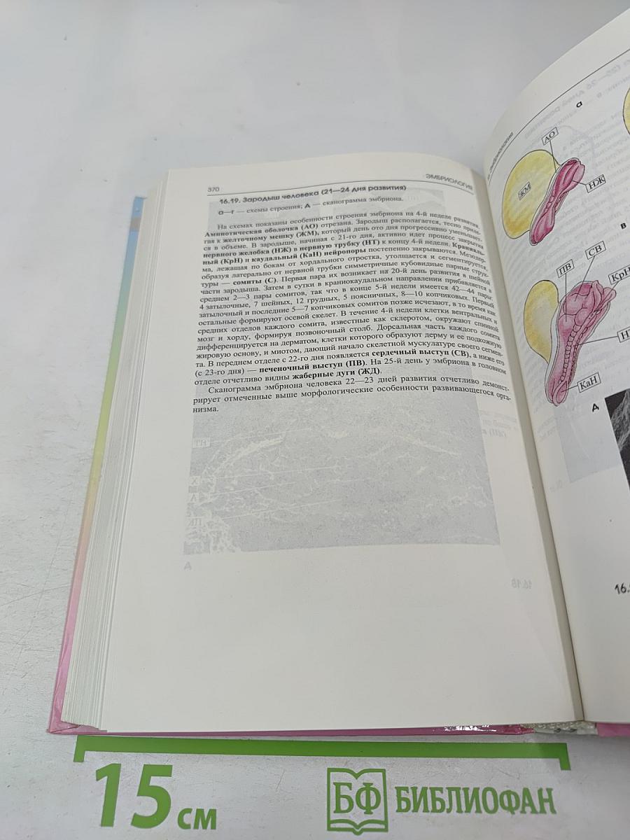 Атлас по цитологии, гистологии и эмбриологии