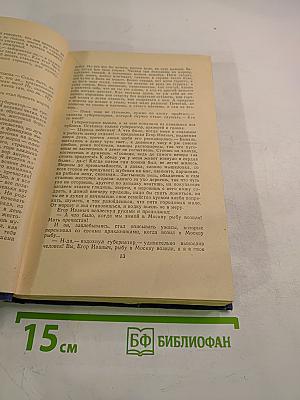 Собрание сочинений. Рассказы 1880-1887. Том 5